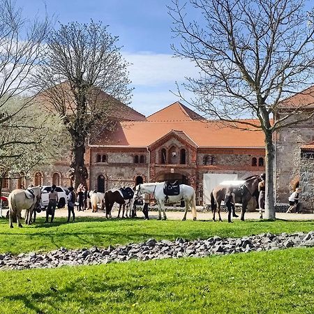 Tinyhousebeidresden 3 Fuer 2 - 7 Personen, Naehe Saechsische Schweiz, Dresden, Mit Badeteich Villa Großharthau Buitenkant foto
